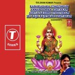 Kanakadara Sthothram Annapoorna Ashtakam Ashtalakshmi Sthothram Sri Raja Rajeswari Ashtakam - Arun Dadhich Song Download